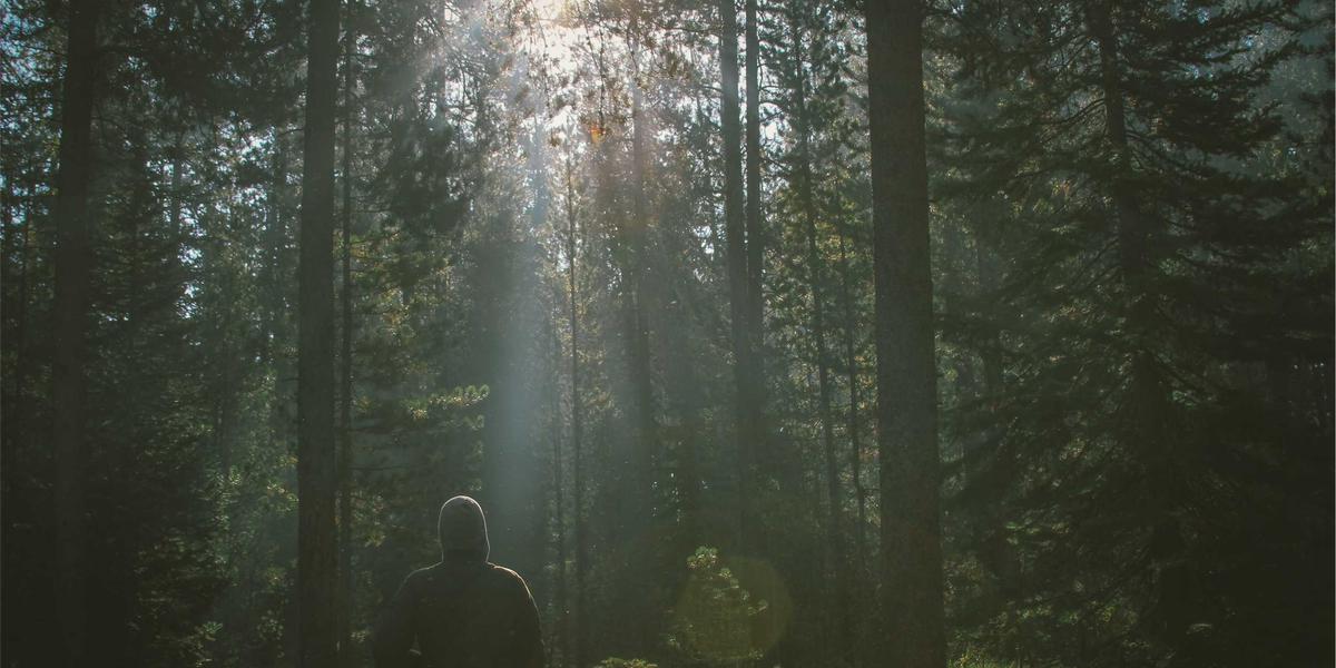 Công trình thực tế của Bunny Land