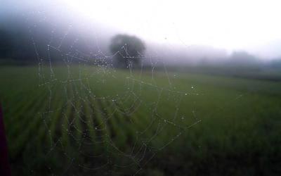 Công nghệ Edge AI 2026