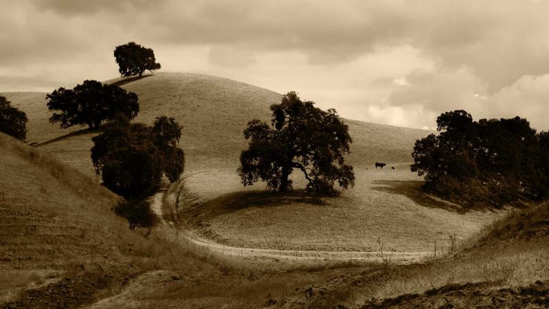 Dòng màu organic Fairy Face Paint