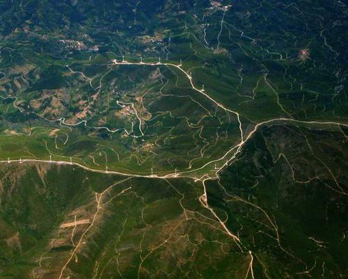 Thành phần trà sữa hữu cơ