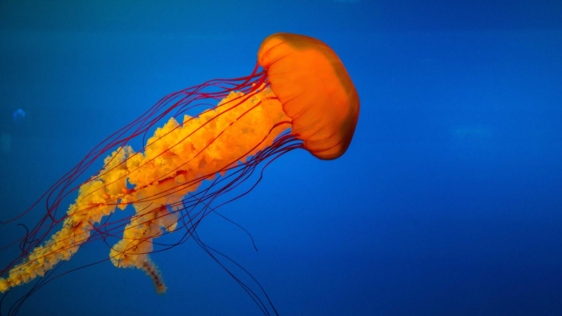 Case Study 2026 Art Appraisal