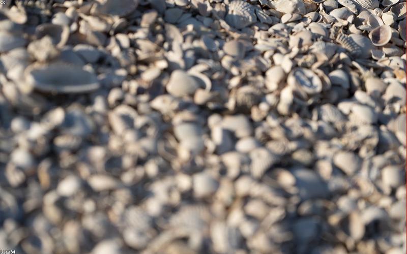 Trang trí tiệc phong cách thiên nhiên