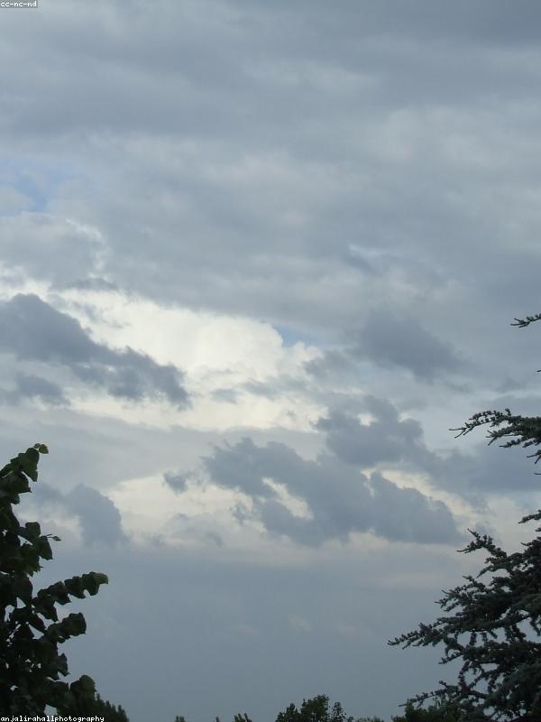 Kết quả sau khi nhuộm 1