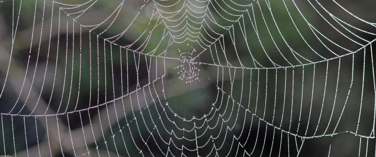 Luxury Website Design