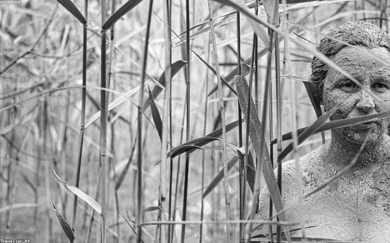 Dược mỹ phẩm bền vững