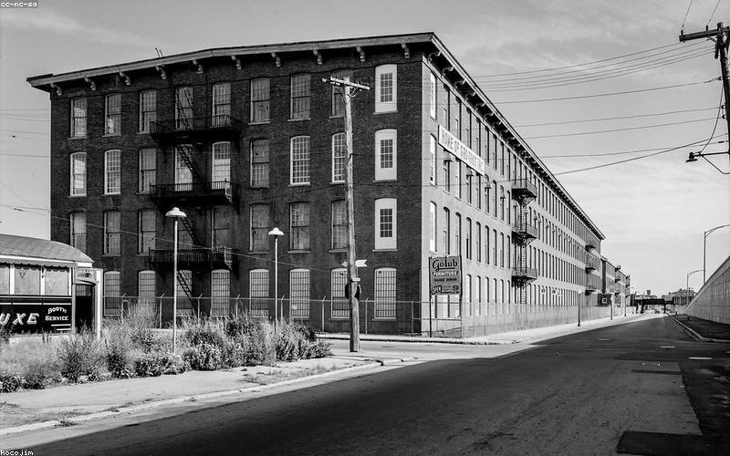 Cây bông vải tự nhiên