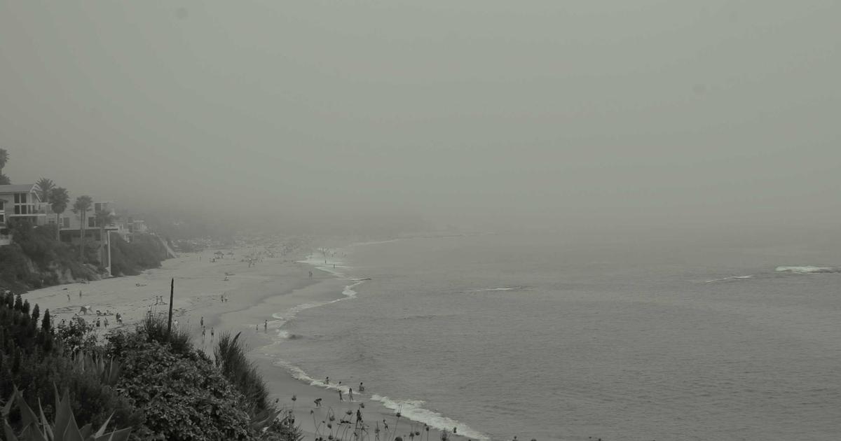 Hướng dẫn 5 bước thiết kế website tự động toàn diện cho người mới bắt đầu với BrandBoost