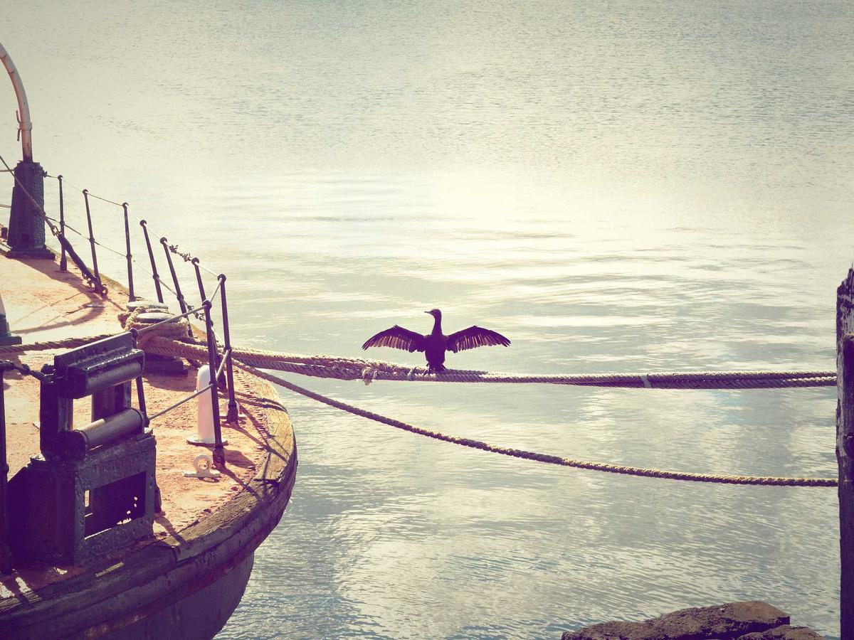 Founders Story Image