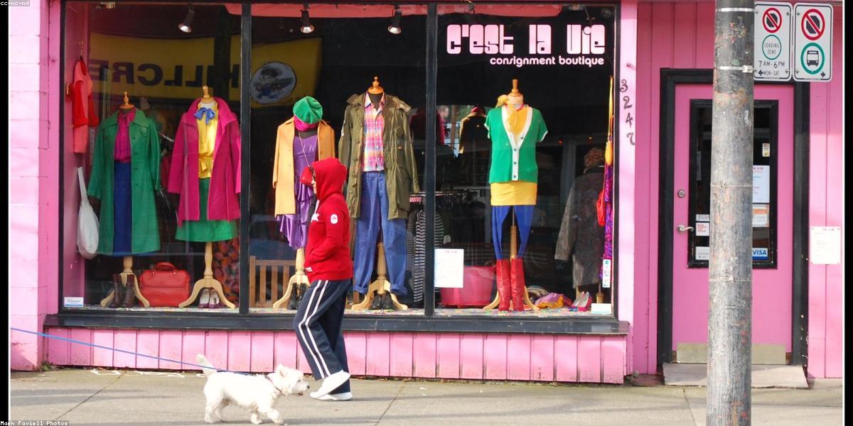 Xu hướng phụ kiện thú cưng 2024