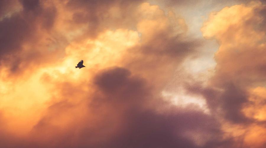 Không gian triển lãm