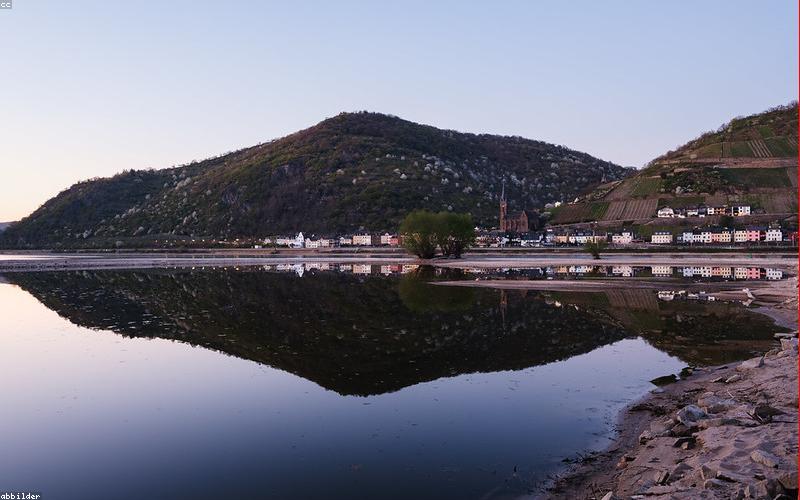 Nghệ thuật cắm hoa tối giản