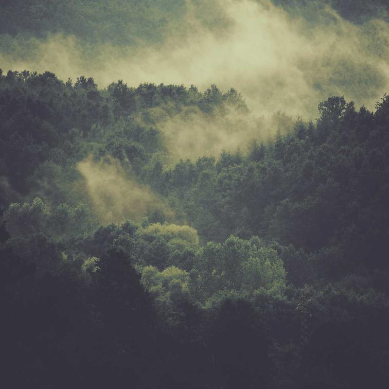 Set Nội Y Ren Flora Quyến Rũ 2