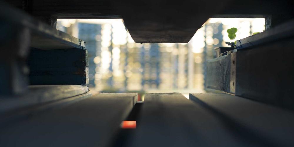 Phong cách Grandpacore hoài cổ