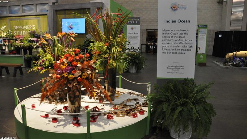 Studio thiết kế của Trương Hạ Vy