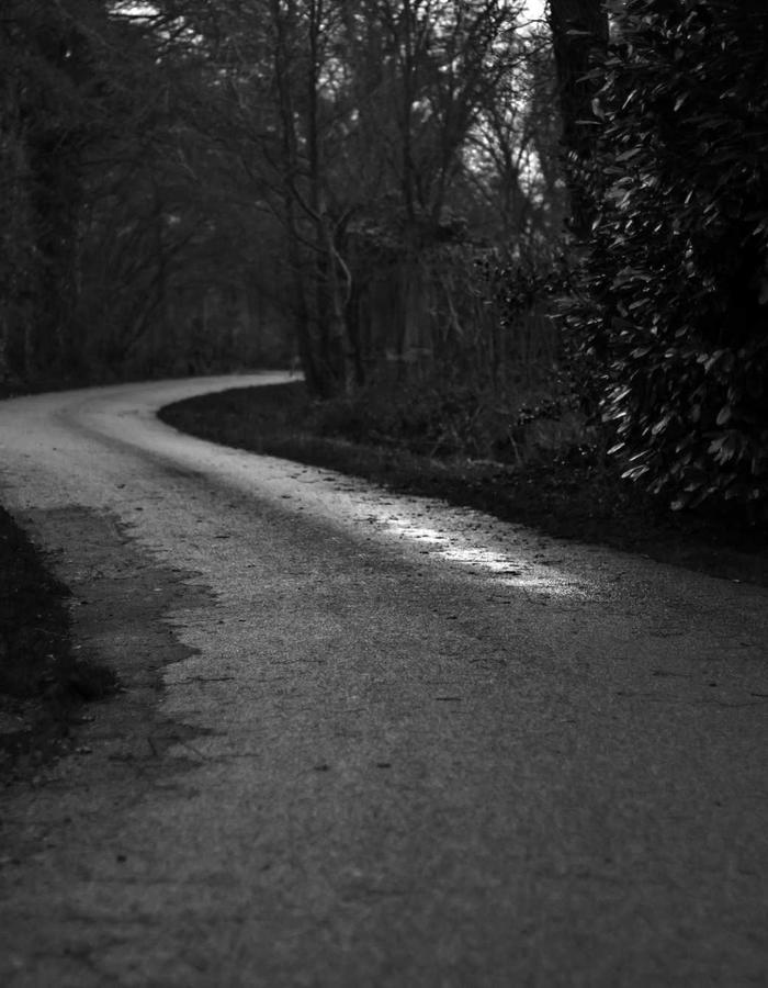 Sữa tắm thảo dược