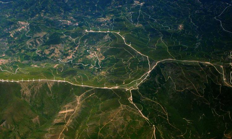 Giày và phụ kiện thú cưng 2026