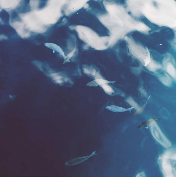 Bóng bay màu pastel