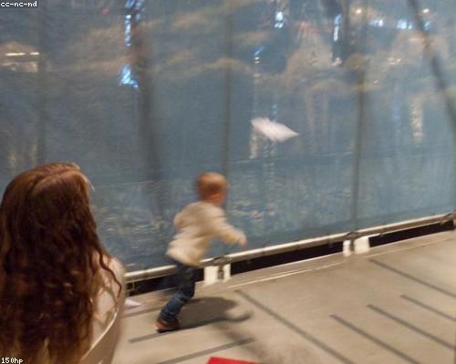 Chuẩn bị nguyên liệu