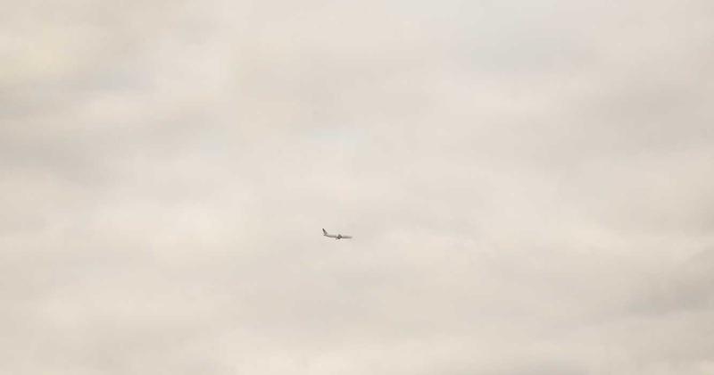 Nguyên liệu làm Kombucha