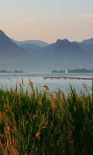 Finished pixel project