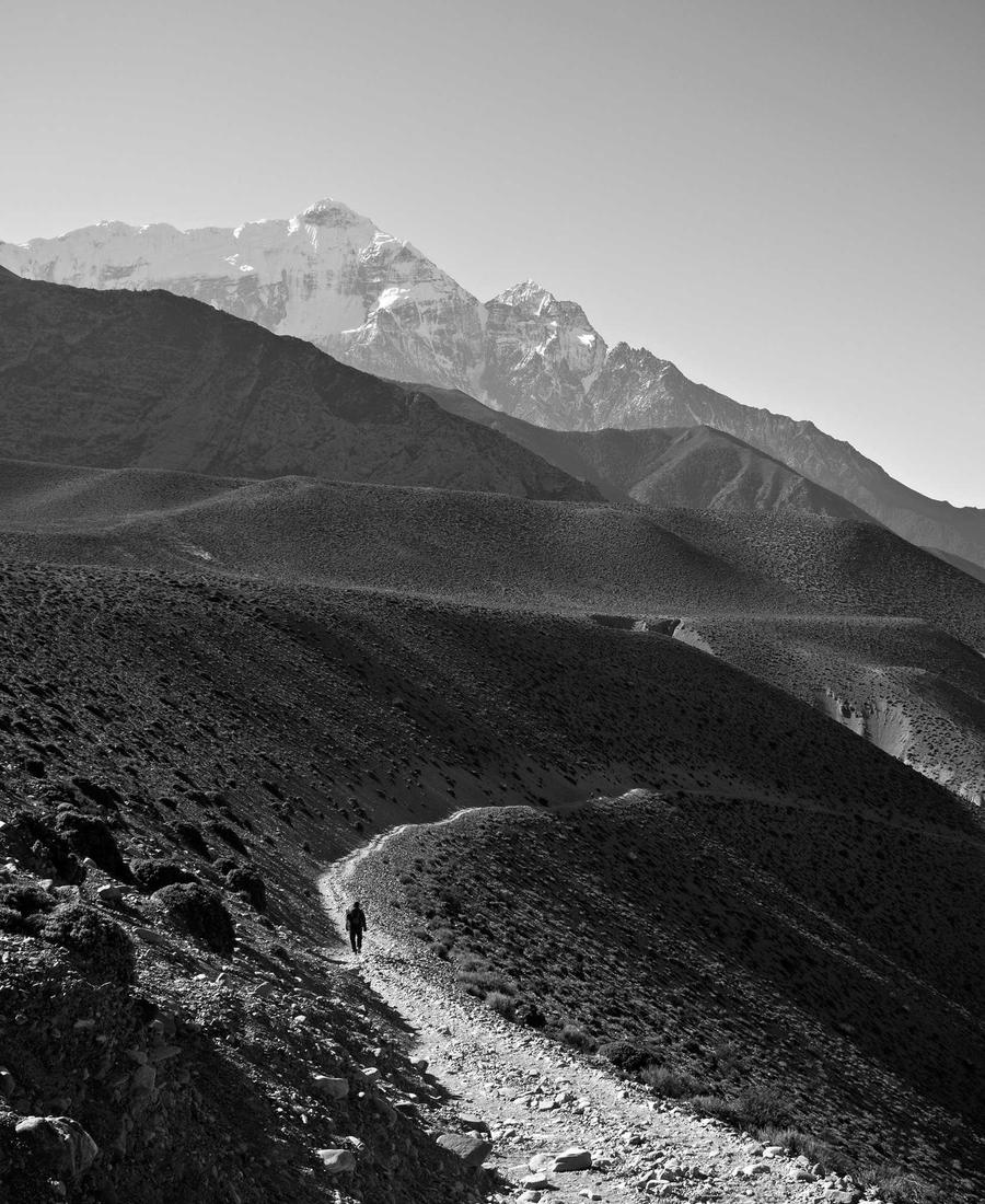 Behind Fairy Lights VN