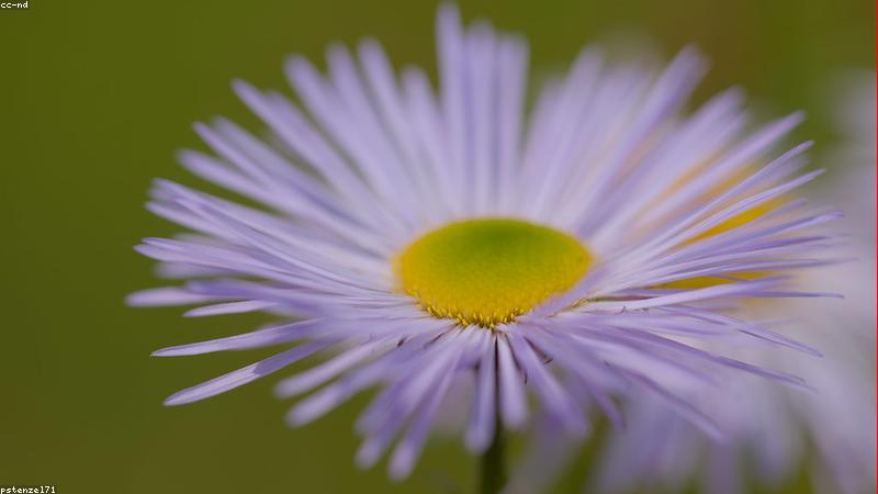 Hộp quà tặng mùa xuân tinh tế