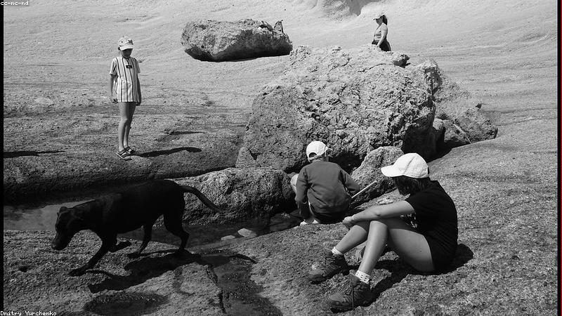 Trẻ học cách chia sẻ