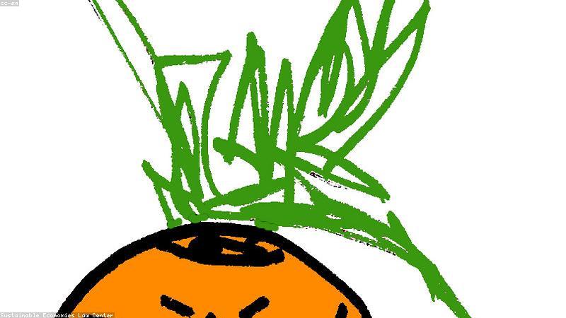 Ủ phân hữu cơ tại nhà