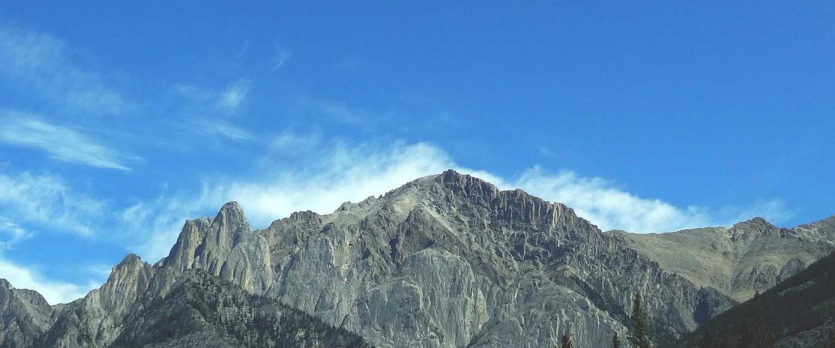 Watch Maintenance Service 2026