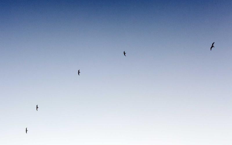 Cảnh quan du lịch cội nguồn