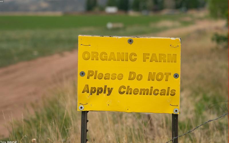 Cánh đồng nông nghiệp hữu cơ xanh mướt