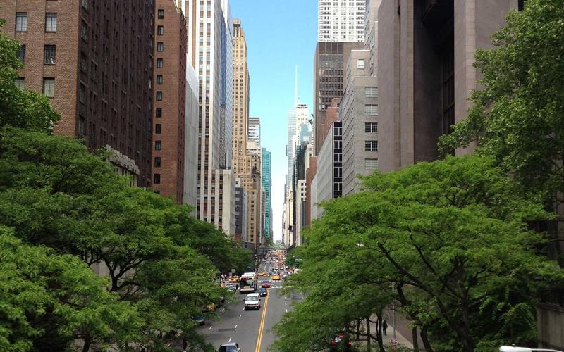 Lối sống tỉnh thức 2026