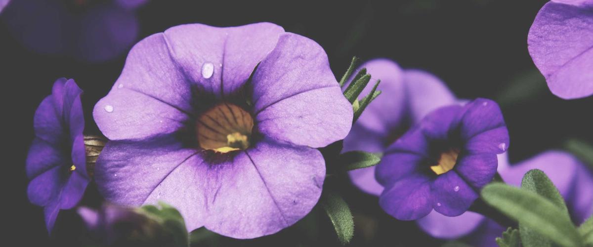 Medical dashboard AI interaction