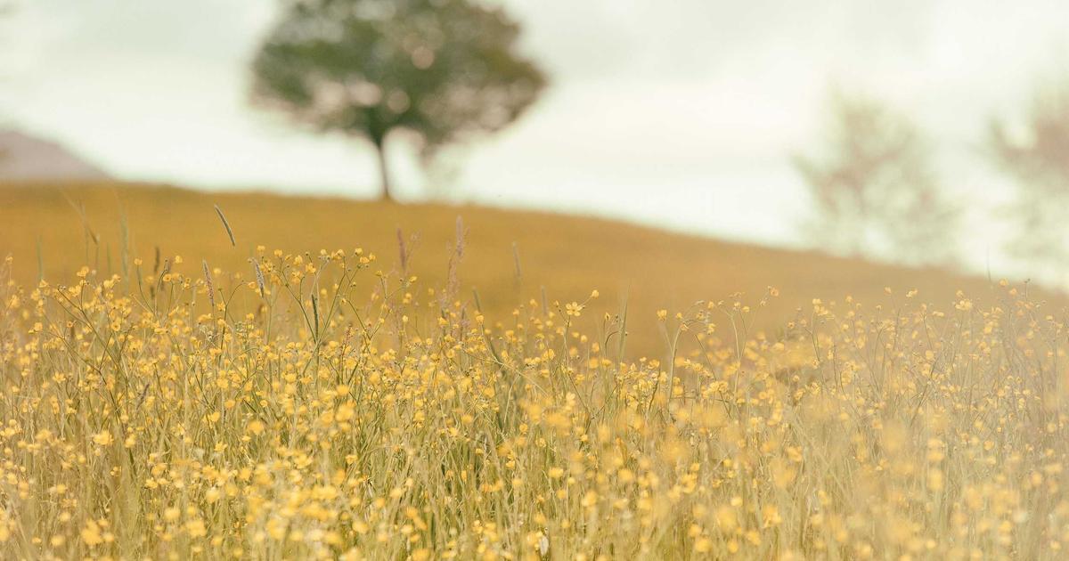 Phân tích tác động của đồ chơi Lego đến khả năng tư duy logic và giải quyết vấn đề ở trẻ