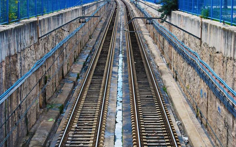 Nguyên liệu sạch tại Panda Daycare