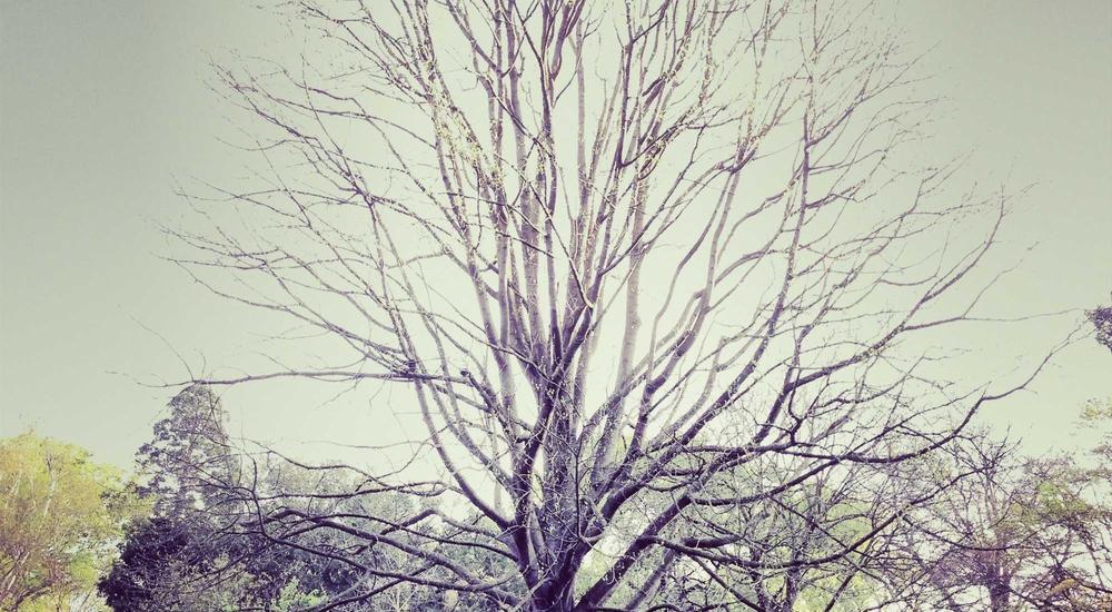 Mô phỏng giao diện não bộ 2026