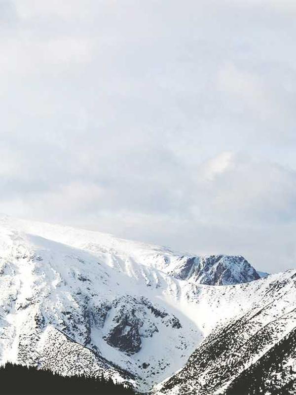 Professional Consultation