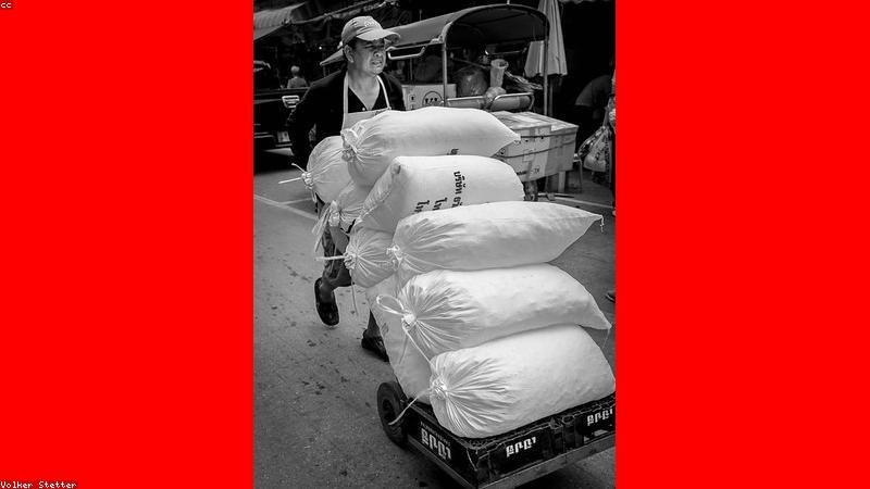 Sự tập trung trong học tập