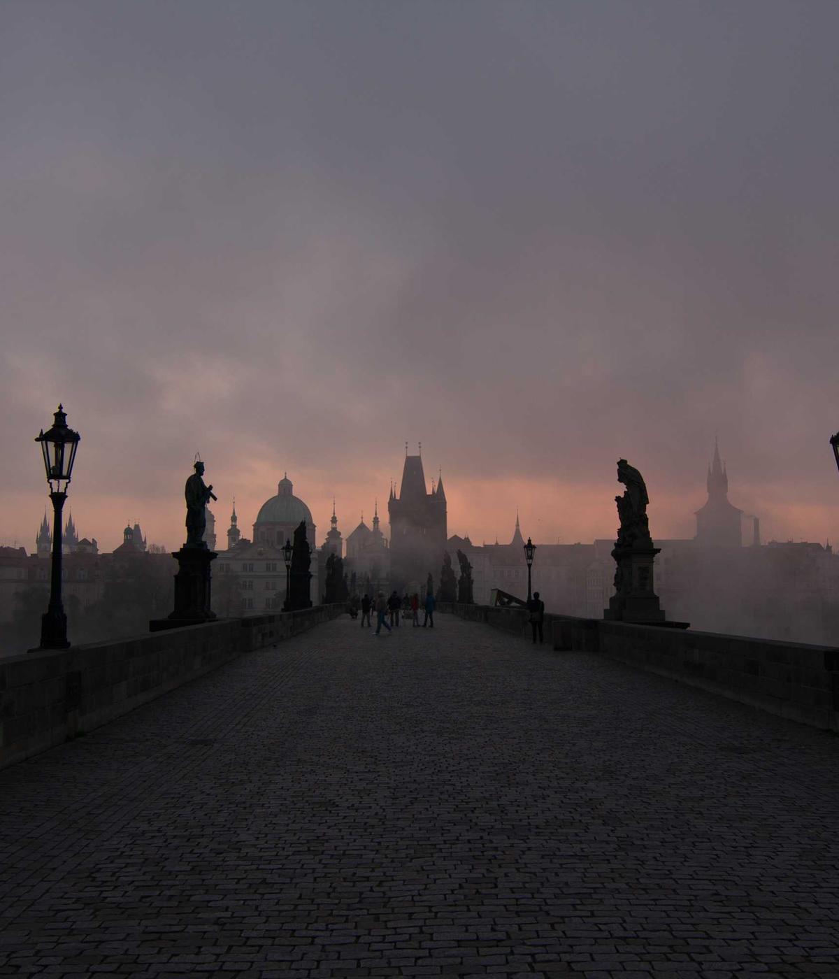 Quy trình giải mã Gen tại nhà