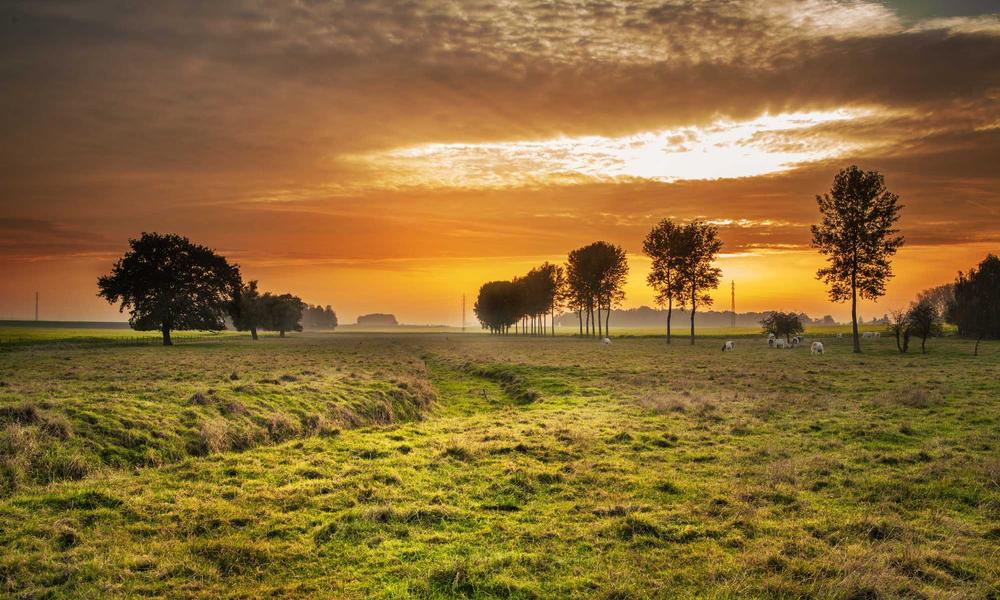 Clean high tech solar 2026