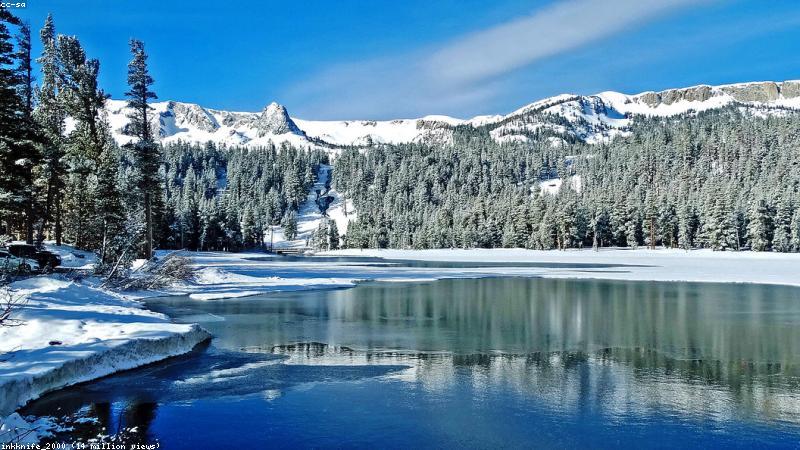 Tương lai giáo dục