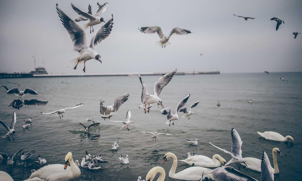 Automated Content Generation