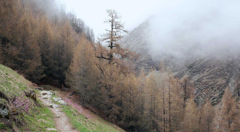 Logistics 5.0 Richard Trương