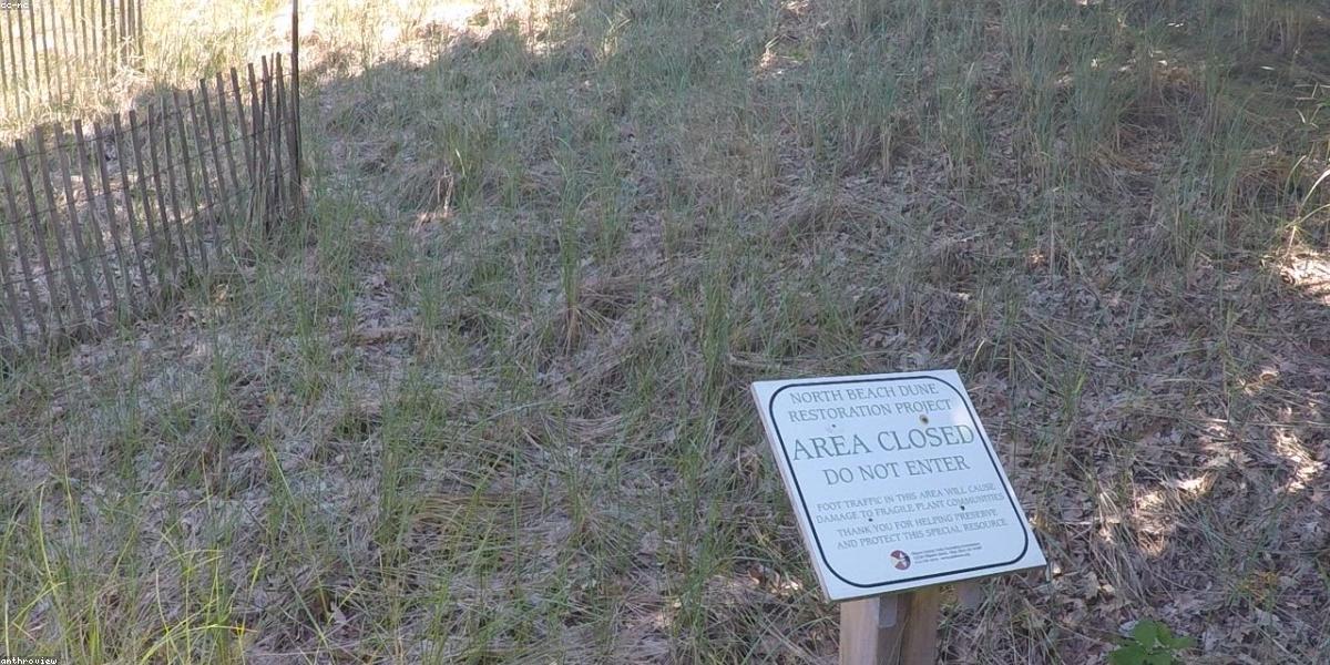 Camera hành trình tích hợp AI hiện đại