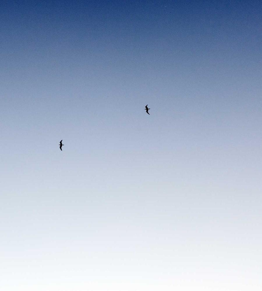 Mental health treatment context