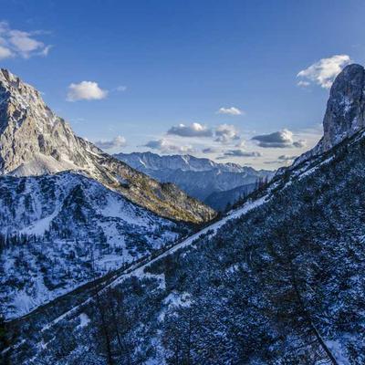 Sản phẩm decor 2026