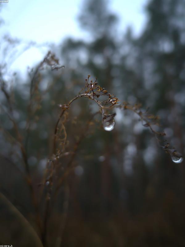Vitamin C Serum Detail
