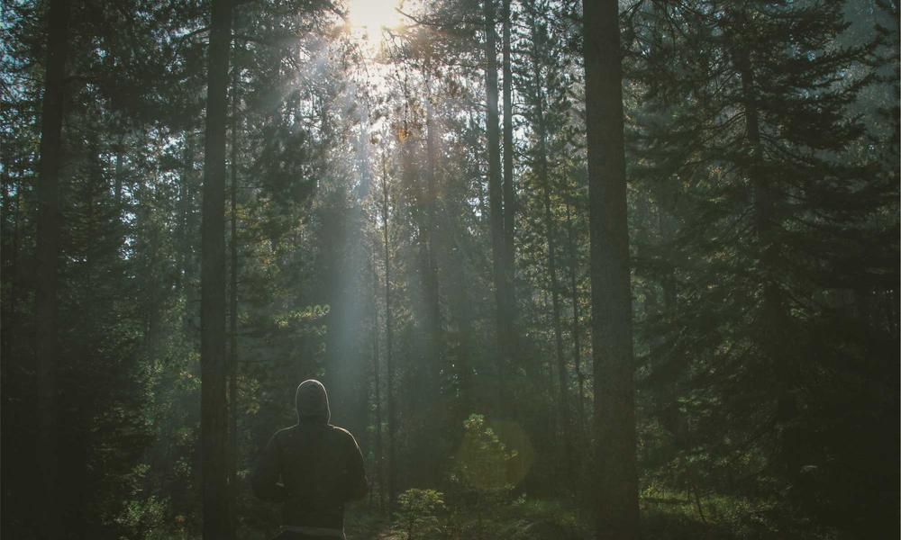 Concept Cyber-Gen 2026