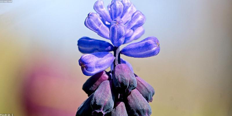 AI viết nội dung tự động