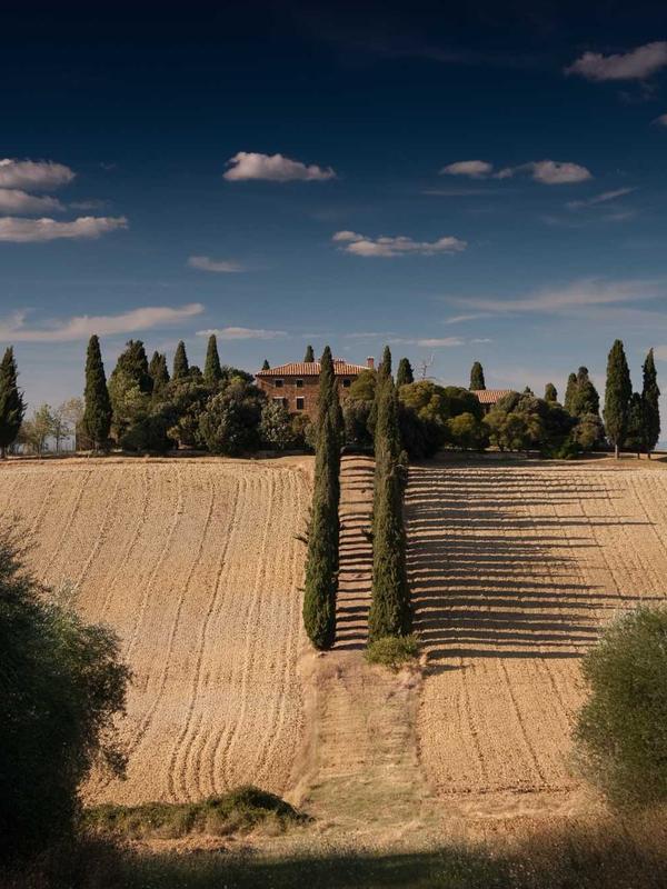 Fitness Transformation